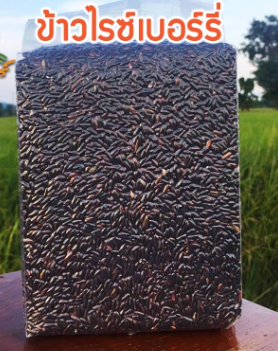 ข้าวไรซ์เบอร์รี่ ข้าวกข43 และข้าวเพื่อสุขภาพ